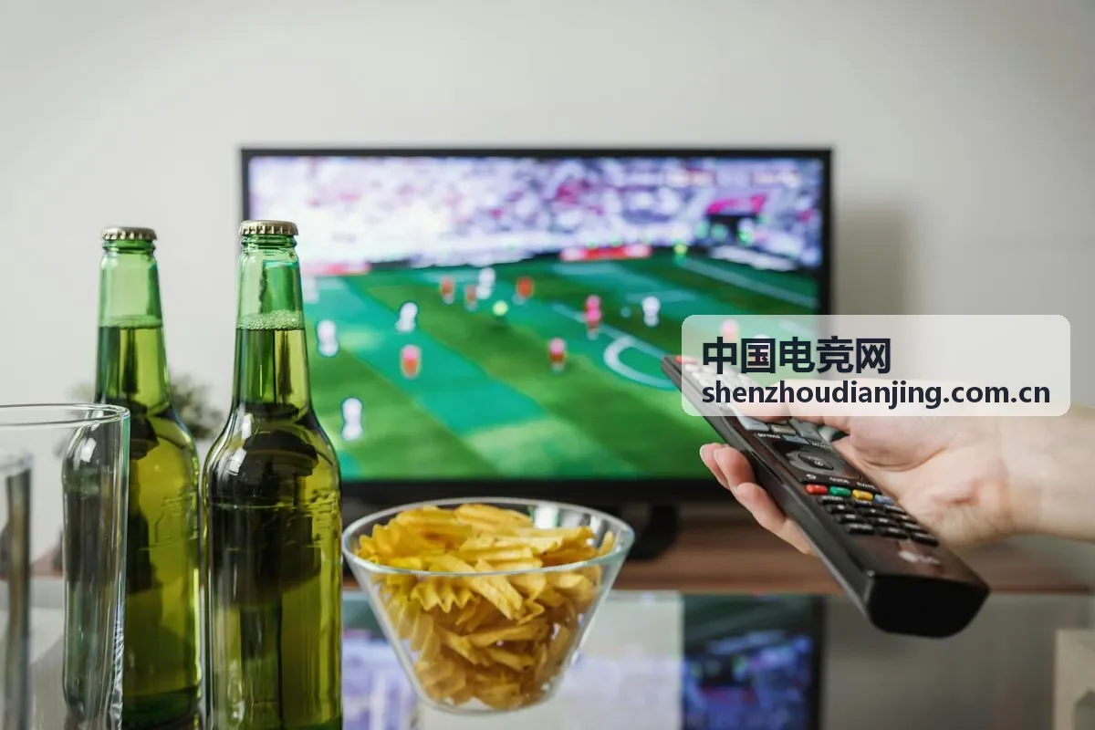 中国电竞网赛事运营服务